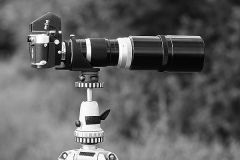 M2, Viso III (release lever not in shooting position!) + Telyt 40cm