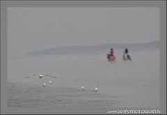 Riders in a Mist