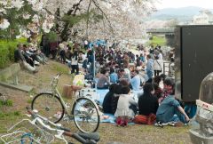 Hanami