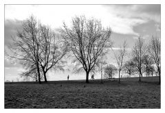 parliament hill fields