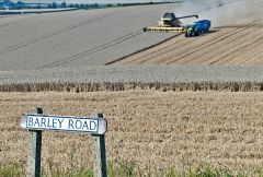 barley road