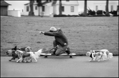 dogwalker on skateboard