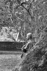 monk bw chiang mai