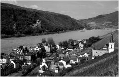 Rheingau