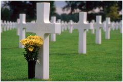 Der Blumenstrauss... oder "Luis G. Martinez"