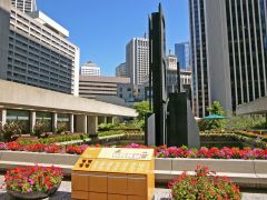San Francisco Skyline