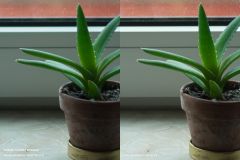 Mittige Schärfe/Farbsäume