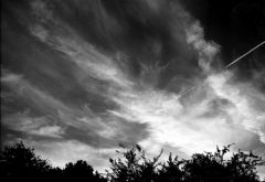Summer Sky
