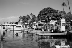 Lahina dock, Maui, HI, Dec. 2015