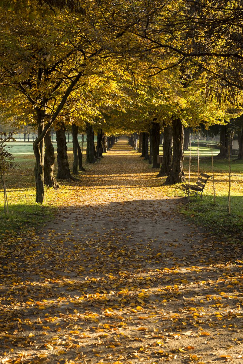 Autumn in Milan.