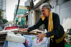 Vietnamese woman job