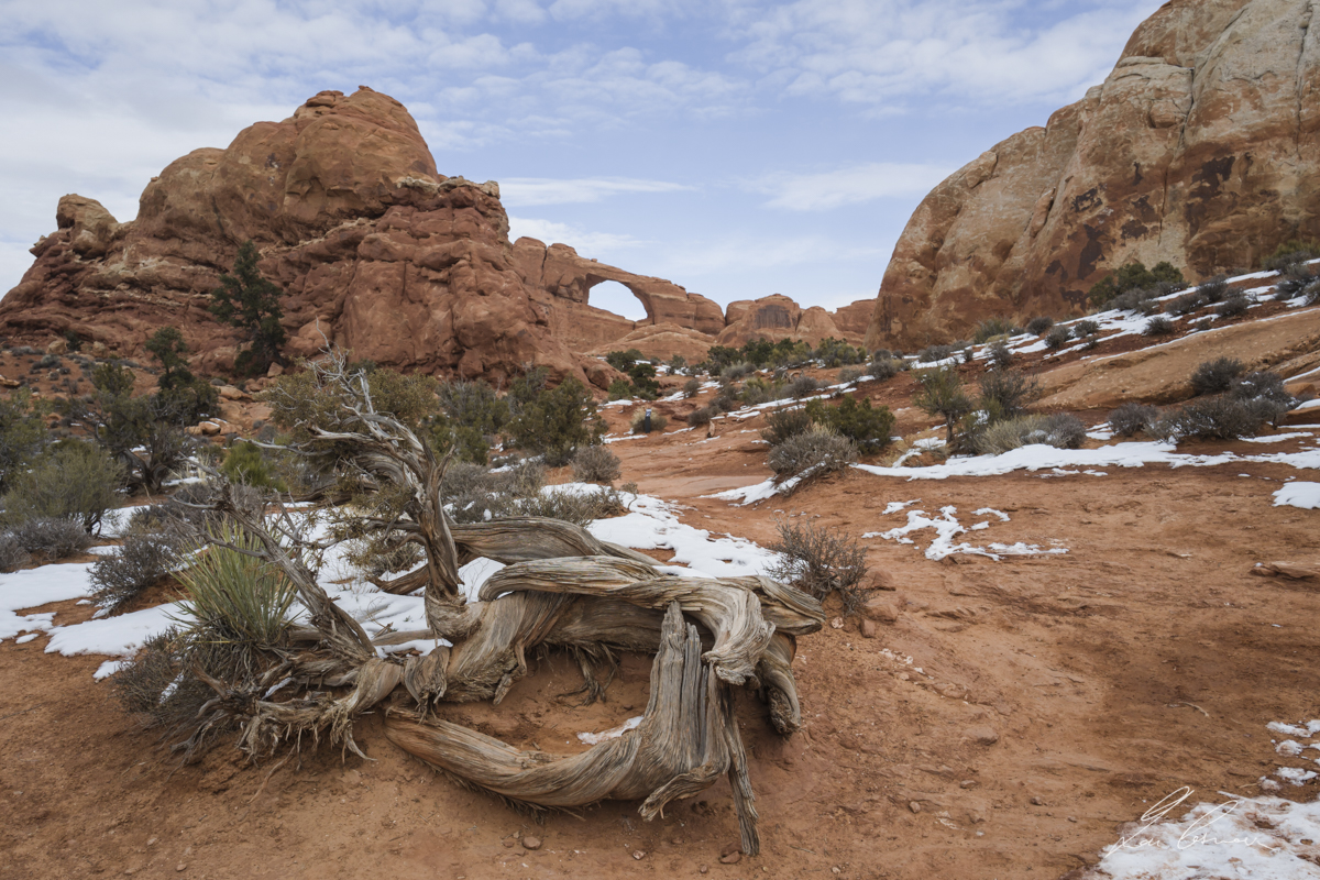 Arches