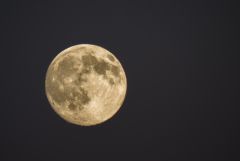 July 98% full moon
