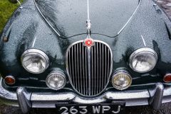 You can use a Leica in the rain