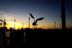 Redondo Beach, California