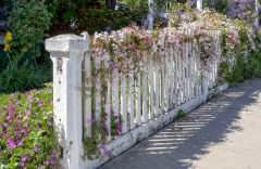Old Fence with Spring Flowers 2106