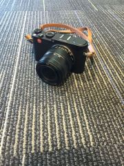 my new X Vario