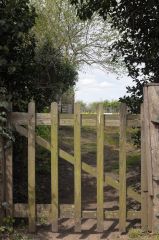 rural2.jpegweb