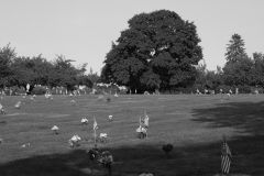Memorial Day