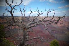 Canyon