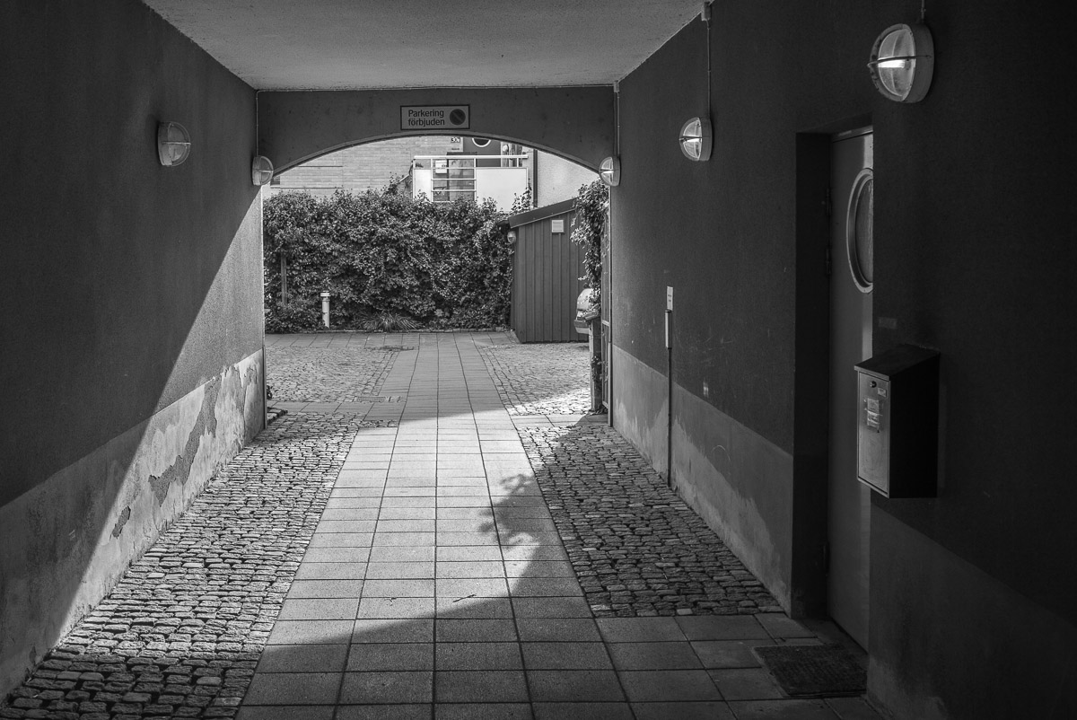 Back yard entrances