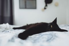 IMG 0763