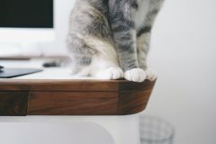 IMG 0765