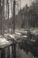 landscape L1003791 1