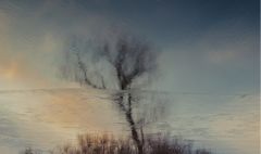 Reflections with and without ice