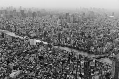 Sky Tree View 01