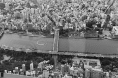 Sky Tree View 03