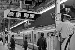 Platform 02