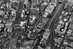 Sky tree view 02