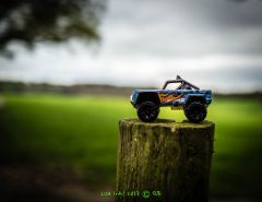 The Lost Toy