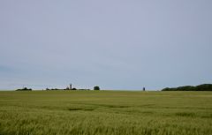 L1002311 (1)