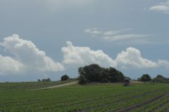 Sky's clearing - P1010349