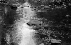 Light On A creek