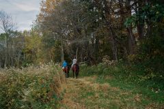 Horseback In The PER