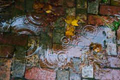 Raining with the Q