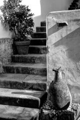 Stairway Villa San Michel