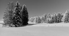 Winterreise