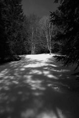 Shadows