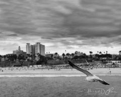 Santa Monica Pier, CA