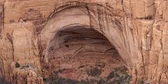 Navajo National Monument