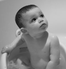 brody (2 Of 5)
