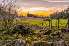 untitled 141 Edit