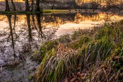 untitled 133 Edit