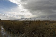 Storm coming in