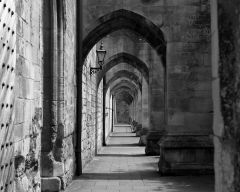 Underneath the Arches 
- Winchester Cathedral
M8, 35 Summicron ASPH