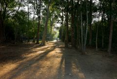 Into the Light, Preah Khaen, Angkor Thom